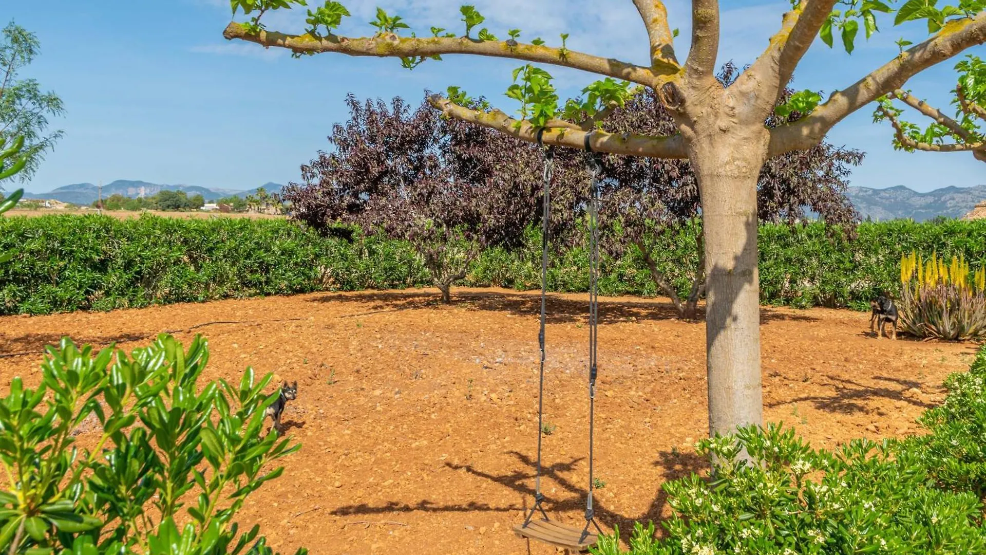 Son Sastre -Figuerola- Villa Muro Spain
